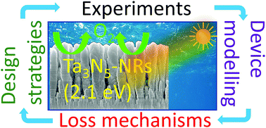 Graphical abstract: Probing fundamental losses in nanostructured Ta3N5 photoanodes: design principles for efficient water oxidation