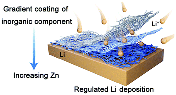 Graphical abstract: Regulated lithium plating and stripping by a nano-scale gradient inorganic–organic coating for stable lithium metal anodes