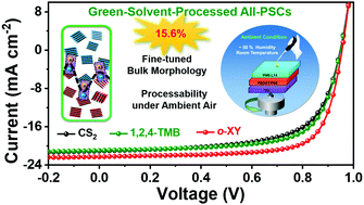 Graphical abstract: Achieving highly efficient all-polymer solar cells by green-solvent-processing under ambient atmosphere