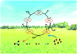 Graphical abstract: Oxygen vacancy engineered unsaturated coordination in cobalt carbonate hydroxide nanowires enables highly selective photocatalytic CO2 reduction