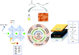 Graphical abstract: Wide-bandgap organic–inorganic hybrid and all-inorganic perovskite solar cells and their application in all-perovskite tandem solar cells