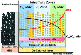 Graphical abstract: The product selectivity zones in gas diffusion electrodes during the electrocatalytic reduction of CO2