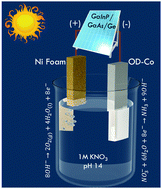 廃水の硝酸塩と太陽光でアンモニアを作る (Combining sunlight and wastewater nitrate to make the world’s No. 2 chemical)