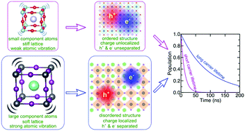 Graphical abstract: Atomistic origin of lattice softness and its impact on structural and carrier dynamics in three dimensional perovskites