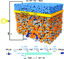 Graphical abstract: An efficient and durable anode for ammonia protonic ceramic fuel cells