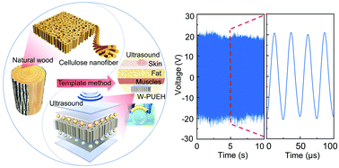 Graphical abstract: A wood-templated unidirectional piezoceramic composite for transmuscular ultrasonic wireless power transfer