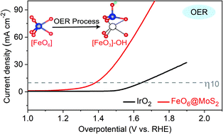 Graphical abstract: Dynamic coordination transformation of active sites in single-atom MoS2 catalysts for boosted oxygen evolution catalysis