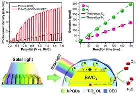 Graphical abstract: A two-photon tandem black phosphorus quantum dot-sensitized BiVO4 photoanode for solar water splitting
