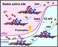 Graphical abstract: A durable half-metallic diatomic catalyst for efficient oxygen reduction