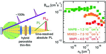 Graphical abstract: Direct measurement of radiative decay rates in metal halide perovskites