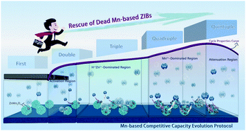 Graphical abstract: The origin of capacity fluctuation and rescue of dead Mn-based Zn–ion batteries: a Mn-based competitive capacity evolution protocol