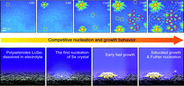 Graphical abstract: Competitive nucleation and growth behavior in Li–Se batteries