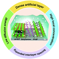 Graphical abstract: Intercalation of organics into layered structures enables superior interface compatibility and fast charge diffusion for dendrite-free Zn anodes