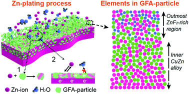 Graphical abstract: Gradient fluorinated alloy to enable highly reversible Zn-metal anode chemistry