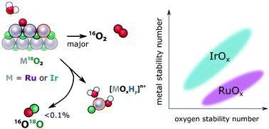 Graphical abstract: The low overpotential regime of acidic water oxidation part II: trends in metal and oxygen stability numbers