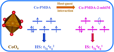 Graphical abstract: Host–guest molecular interaction promoted urea electrosynthesis over a precisely designed conductive metal–organic framework