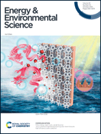 Graphical abstract: Inside front cover