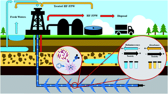 Graphical abstract: Toxicity of hydraulic fracturing wastewater from black shale natural-gas wells influenced by well maturity and chemical additives