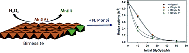 Graphical abstract: Impacts of environmental levels of hydrogen peroxide and oxyanions on the redox activity of MnO2 particles