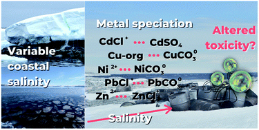 Graphical abstract: The microalga Phaeocystis antarctica is tolerant to salinity and metal mixture toxicity interactions