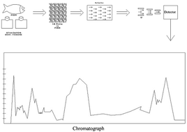 Graphical abstract: Investigating the origin and tissue concentration of polycyclic aromatic hydrocarbons in seafood and health risk in Niger Delta, Nigeria