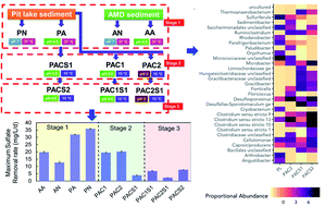 Graphical abstract: Enrichment of psychrophilic and acidophilic sulfate-reducing bacterial consortia – a solution toward acid mine drainage treatment in cold regions