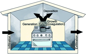 Graphical abstract: Aerosol dynamics modeling of sub-500 nm particles during the HOMEChem study