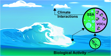 Graphical abstract: The Sea Spray Chemistry and Particle Evolution study (SeaSCAPE): overview and experimental methods