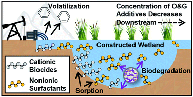 Graphical abstract: Constructed wetlands for polishing oil and gas produced water releases