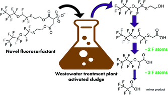 Graphical abstract: Aerobic biotransformation of a novel highly functionalized polyfluoroether-based surfactant using activated sludge from a wastewater treatment plant