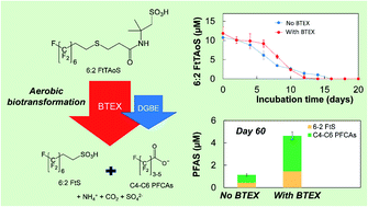 Graphical abstract: Aerobic BTEX biodegradation increases yield of perfluoroalkyl carboxylic acids from biotransformation of a polyfluoroalkyl surfactant, 6:2 FtTAoS