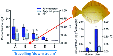 Graphical abstract: Occurrence and fate of chiral and achiral drugs in estuarine water – a case study of the Clyde Estuary, Scotland