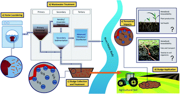 Graphical abstract: A review of microplastic fibres: generation, transport, and vectors for metal(loid)s in terrestrial environments