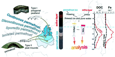 Graphical abstract: Organic carbon, and major and trace elements reside in labile low-molecular form in the ground ice of permafrost peatlands: a case study of colloids in peat ice of Western Siberia