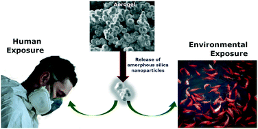 Graphical abstract: Insights on toxicity, safe handling and disposal of silica aerogels and amorphous nanoparticles