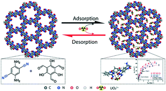Graphical abstract: Rational construction of covalent organic frameworks with multi-site functional groups for highly efficient removal of low-concentration U(vi) from water