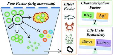 Graphical abstract: Developing physicochemical property-based ecotoxicity characterization factors for silver nanoparticles under mesocosm conditions for use in life cycle assessment