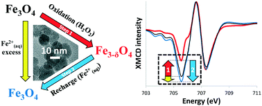 Graphical abstract: Probing the effects of redox conditions and dissolved Fe2+ on nanomagnetite stoichiometry by wet chemistry, XRD, XAS and XMCD