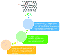 Graphical abstract: Influences of sulfonated graphene oxide on gas exchange performance, antioxidant systems and redox states of ascorbate and glutathione in nitrate and/or ammonium stressed-wheat (Triticum aestivum L.)