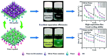 Graphical abstract: Integrated asymmetric superwetting Janus membrane for the efficient separation of various surfactant-stabilized oil–water emulsions