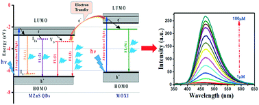 Graphical abstract: Enhanced fluorescence of mercaptopropionic acid-capped zinc sulfide quantum dots with moxifloxacin in food and water samples via reductive photoinduced electron transfer