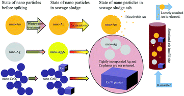 Graphical abstract: Release of gold (Au), silver (Ag) and cerium dioxide (CeO2) nanoparticles from sewage sludge incineration ash