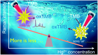 Graphical abstract: Catalytic gold nanostars for SERS-based detection of mercury ions (Hg2+) with inverse sensitivity