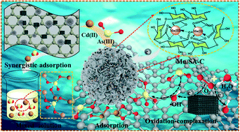 Graphical abstract: Simultaneous removal of arsenite and cadmium by a manganese-crosslinking sodium alginate modified biochar and zerovalent iron composite from aqueous solutions
