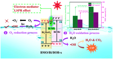 Graphical abstract: Plasmonic Bi NP-accelerated interfacial charge transfer for enhanced solar-driven ciprofloxacin mineralization