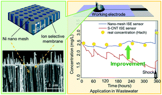 Graphical abstract: Ion selective nano-mesh electrode for long-term continuous monitoring of wastewater quality fabricated using template-guided membrane immobilization