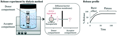 Graphical abstract: Tebuconazole and terbuthylazine encapsulated in nanocarriers: preparation, characterization and release kinetics