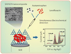 Graphical abstract: Strontium vanadate-supported graphitic carbon nitride nanocomposite for simultaneous voltammetric determination of acetaminophen and levofloxacin in complex biological samples