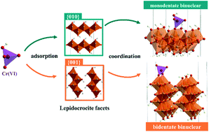 Graphical abstract: Molecular-scale study of Cr(vi) adsorption onto lepidocrocite facets by EXAFS, in situ ATR-FTIR, theoretical frequency calculations and DFT+U techniques