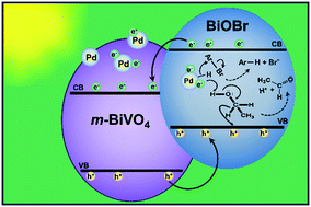 Graphical abstract: Mechanistic analysis identifying reaction pathways for rapid reductive photodebromination of polybrominated diphenyl ethers using BiVO4/BiOBr/Pd heterojunction nanocomposite photocatalyst